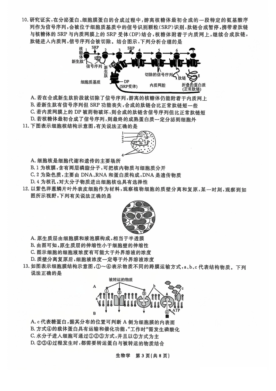 辽宁省名校联盟2024-2025学年高一12月联合考试生物 试卷_生物试题.pdf_第3页