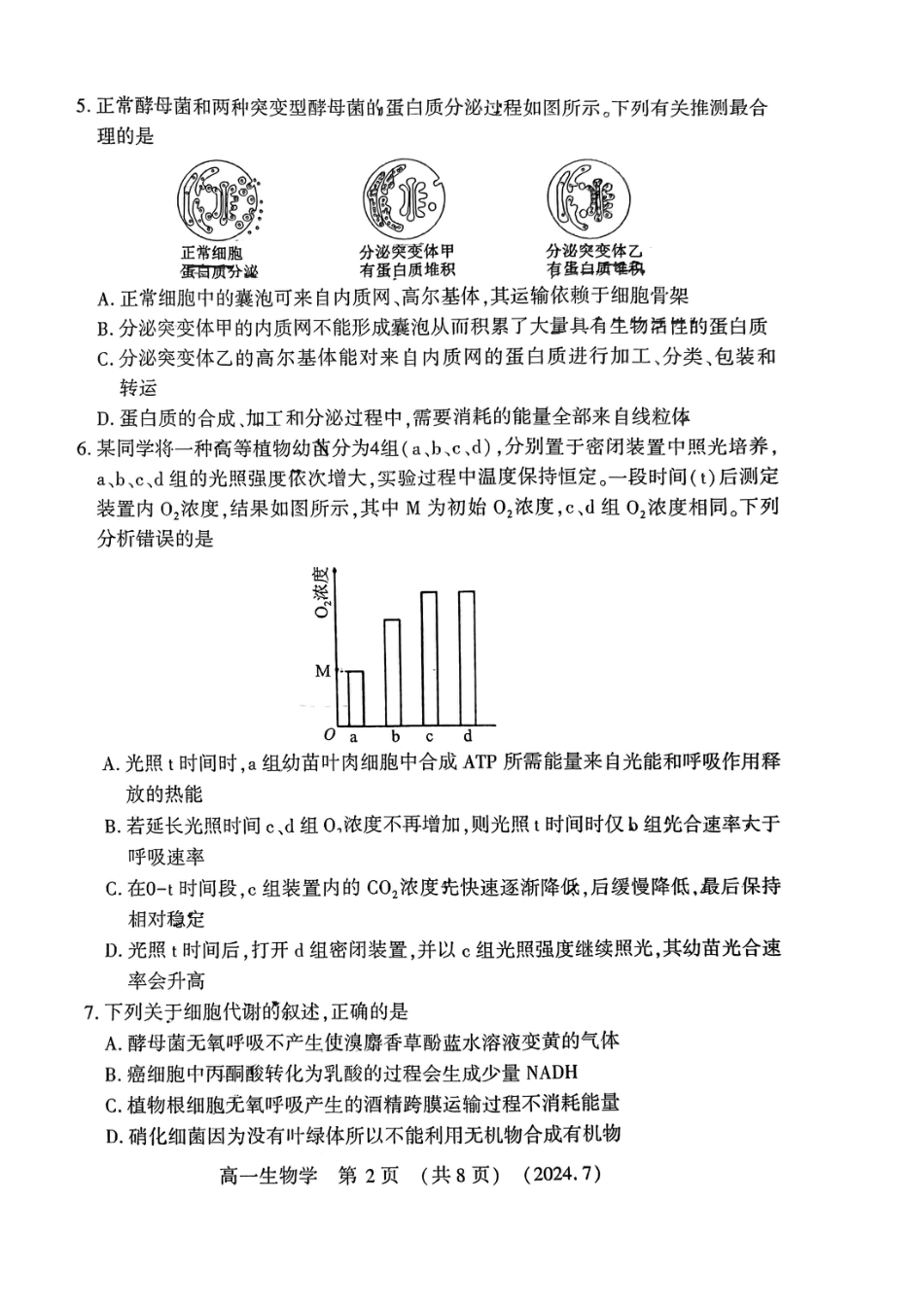 洛阳市2023-2024下学期期末高一生物试卷.pdf_第2页