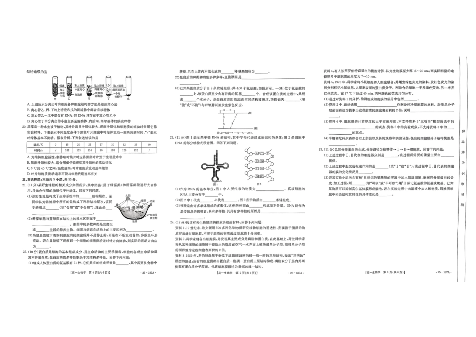 内蒙古赤峰市名校2024-2025学年高一上学期期中联考生物试题（含答案）_生物试题.pdf_第2页
