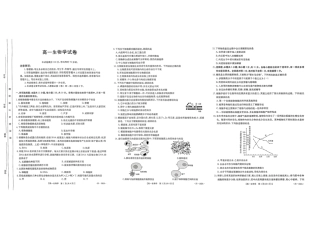 内蒙古赤峰市名校2024-2025学年高一上学期期中联考生物试题（含答案）_生物试题.pdf