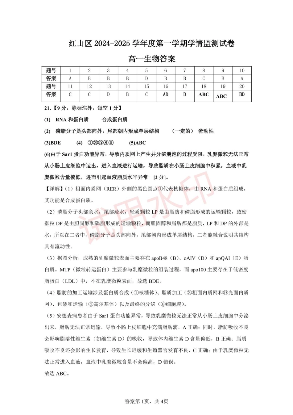 内蒙古自治区赤峰市红山区2024-2025学年高一上学期期末考试  生物  Word版含答案_高一生物答案.pdf_第1页