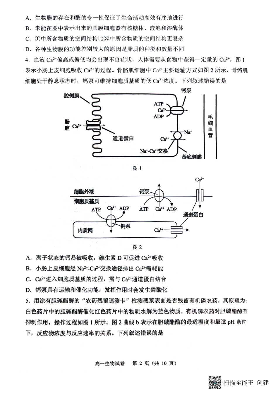 庆市渝中区巴蜀中学校2023-2024学年高一下学期7月期末考试生物试题.pdf_第2页