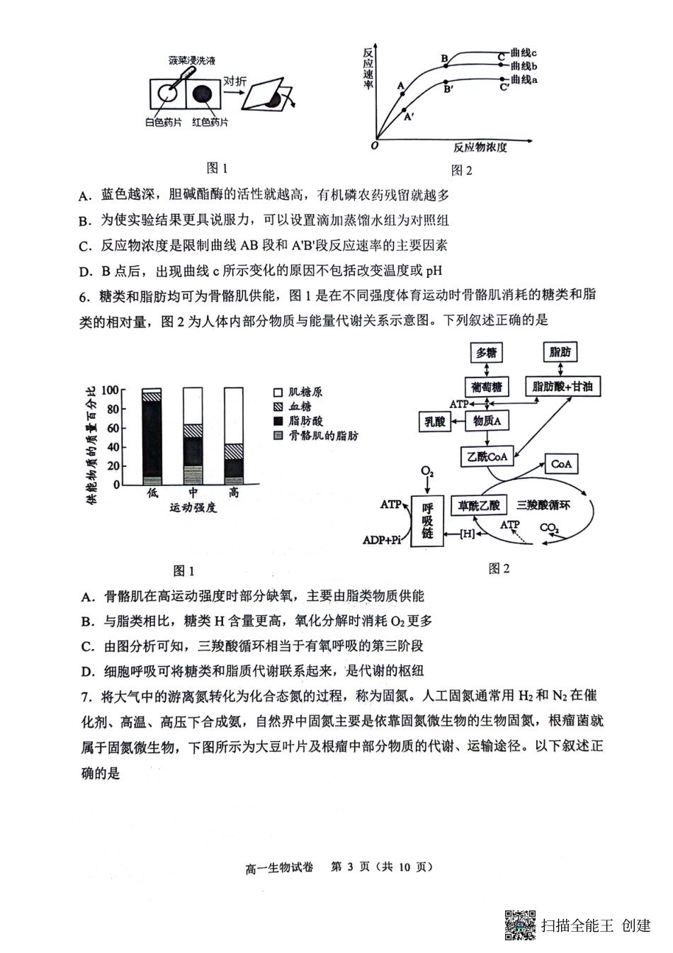 庆市渝中区巴蜀中学校2023-2024学年高一下学期7月期末考试生物试题.pdf_第3页