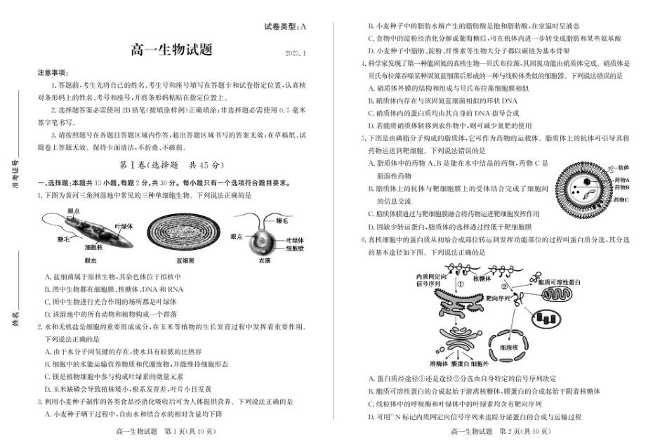 山东省滨州市2024-2025学年高一上学期1月期末生物试题.pdf_第1页