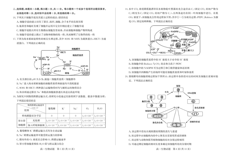 山东省滨州市2024-2025学年高一上学期1月期末生物试题.pdf_第3页
