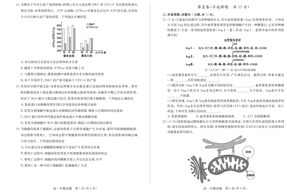 山东省德州市2024-2025学年高一上学期1月联考试题 生物 PDF版含答案(1).pdf_第3页