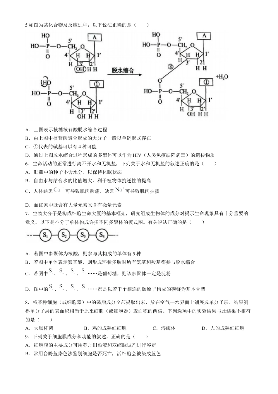 山东省菏泽市2024-2025学年高一上学期11月期中考试生物试题（B卷）(含答案).docx_第2页