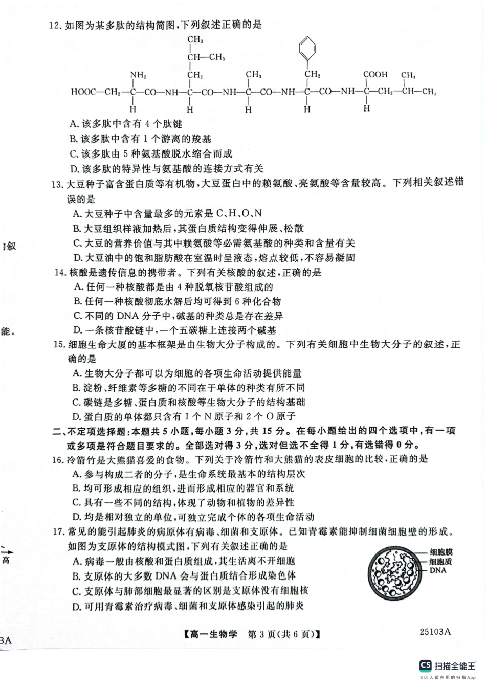 山东省菏泽市鄄城县第一中学2024-2025学年高一上学期10月月考生物试题.pdf_第3页
