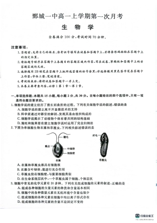 山东省菏泽市鄄城县第一中学2024-2025学年高一上学期10月月考生物试题.pdf