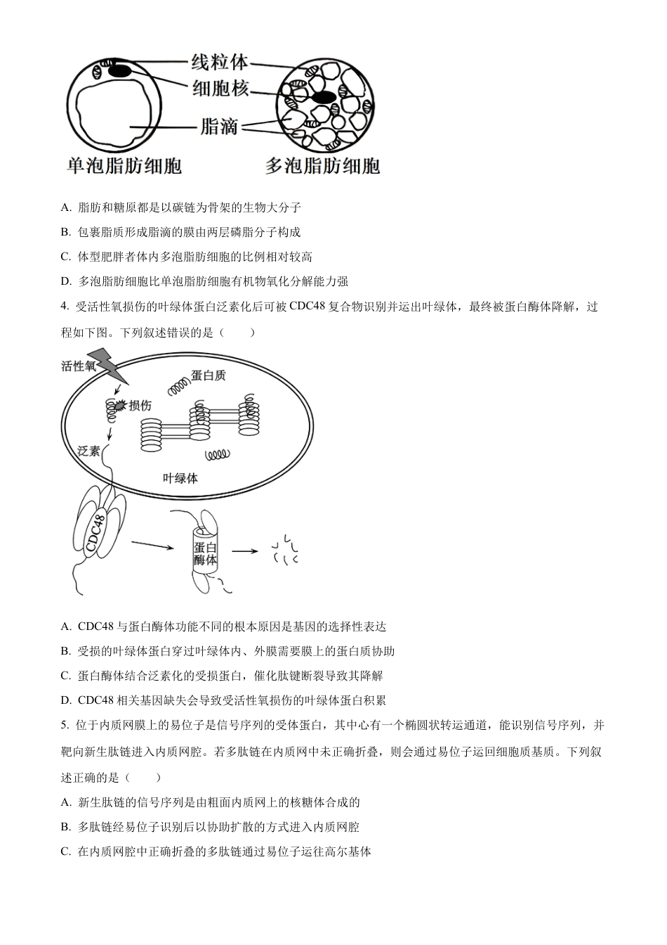 山东省日照市2023-2024学年高二下学期期末考试生物试题.docx_第2页