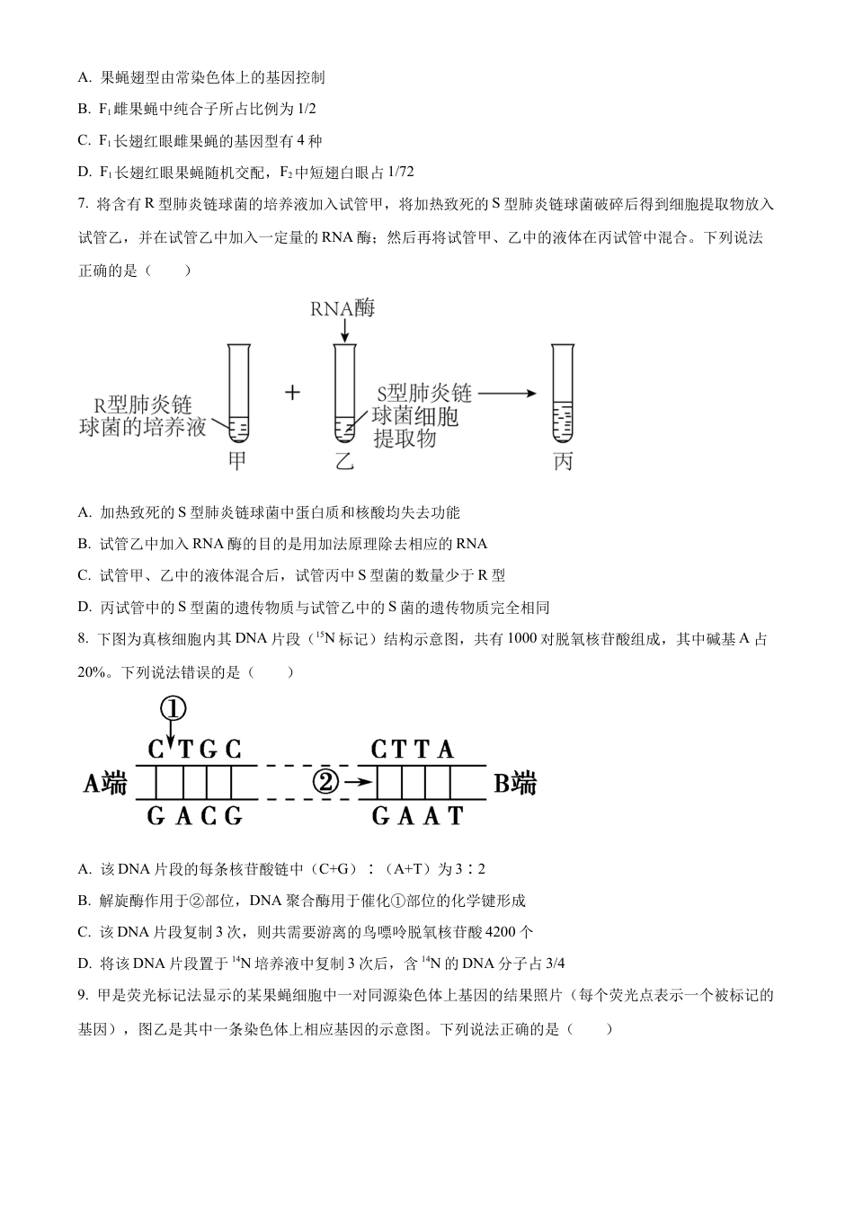 山东省泰安市2023-2024学年高一下学期7月期末考试生物试题.docx_第3页