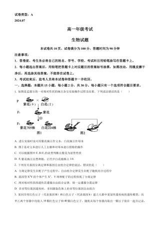 山东省泰安市2023-2024学年高一下学期7月期末考试生物试题.docx