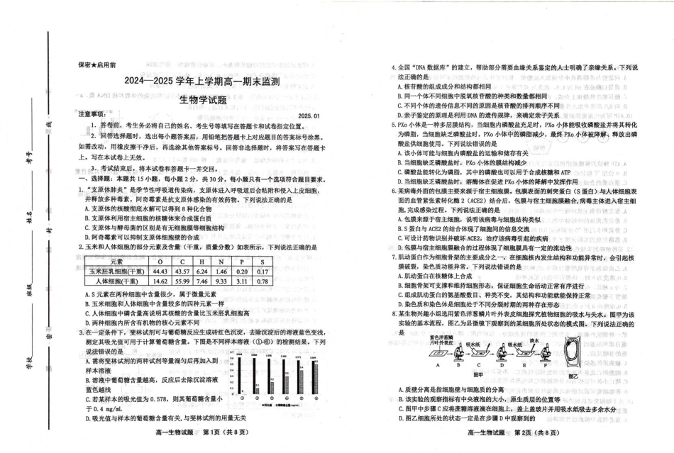 山东省潍坊市2024-2025学年高一上学期期末考试 生物 PDF版含答案.pdf_第1页