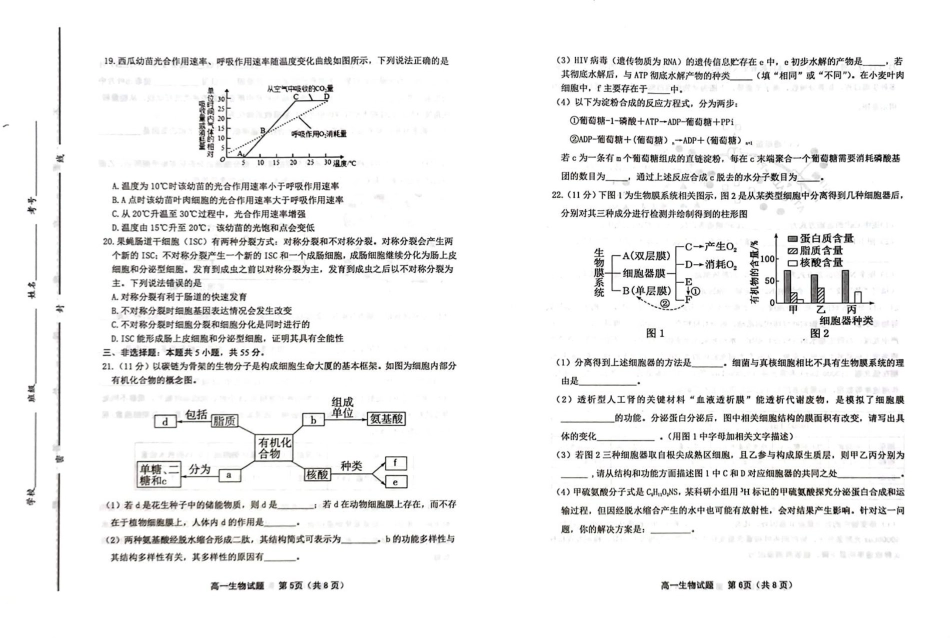山东省潍坊市2024-2025学年高一上学期期末考试 生物 PDF版含答案.pdf_第3页
