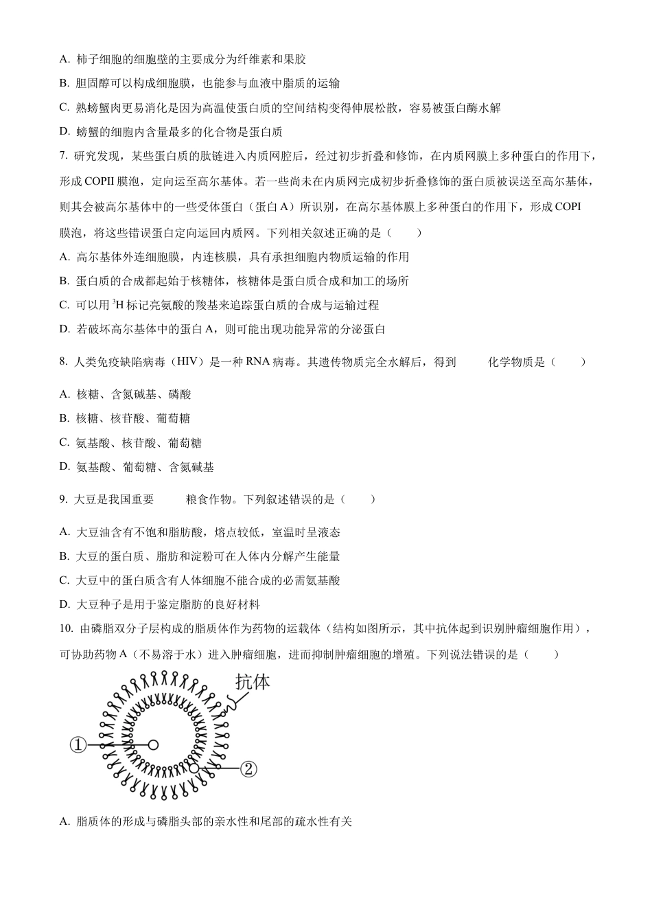 山东省枣庄市滕州市2024-2025学年高一上学期11月期中生物试题  Word版无答案.docx_第3页