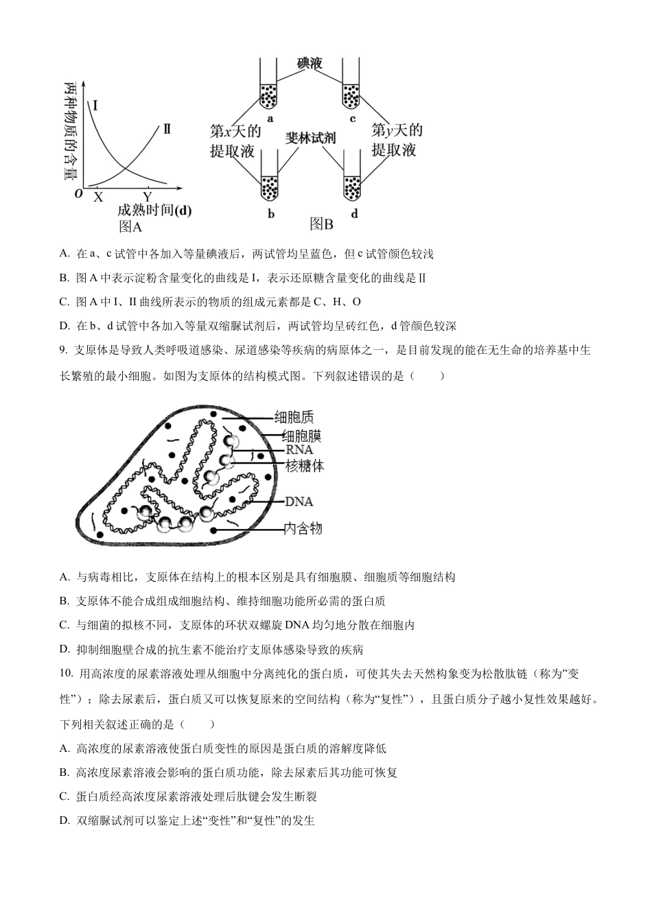 山东省淄博实验中学2024-2025学年高一上学期第一次教学诊断训练生物.docx_第3页