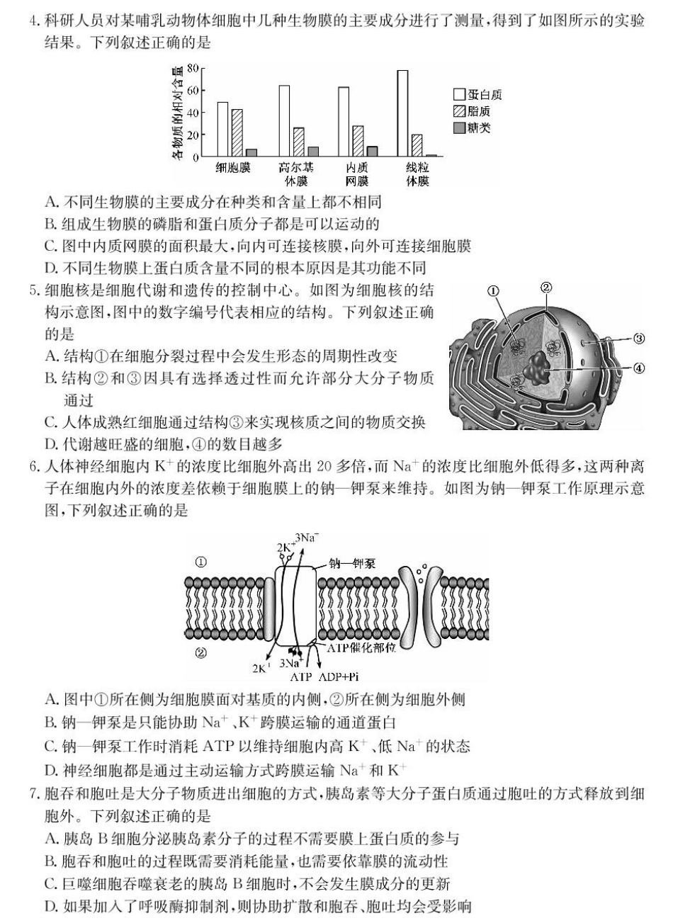 山西省2024-2025学年高一上学期1月期末质量检测生物试卷（扫描版含部分解析）.pdf_第2页