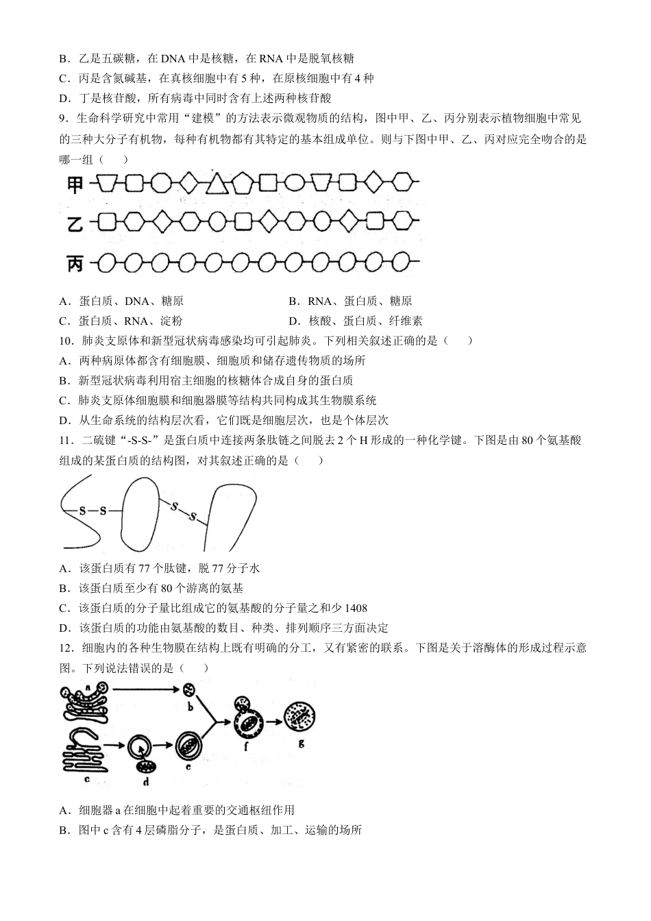 山西省大同市2024-2025学年高一上学期11月期中考试生物试题（含答案）.docx_第3页