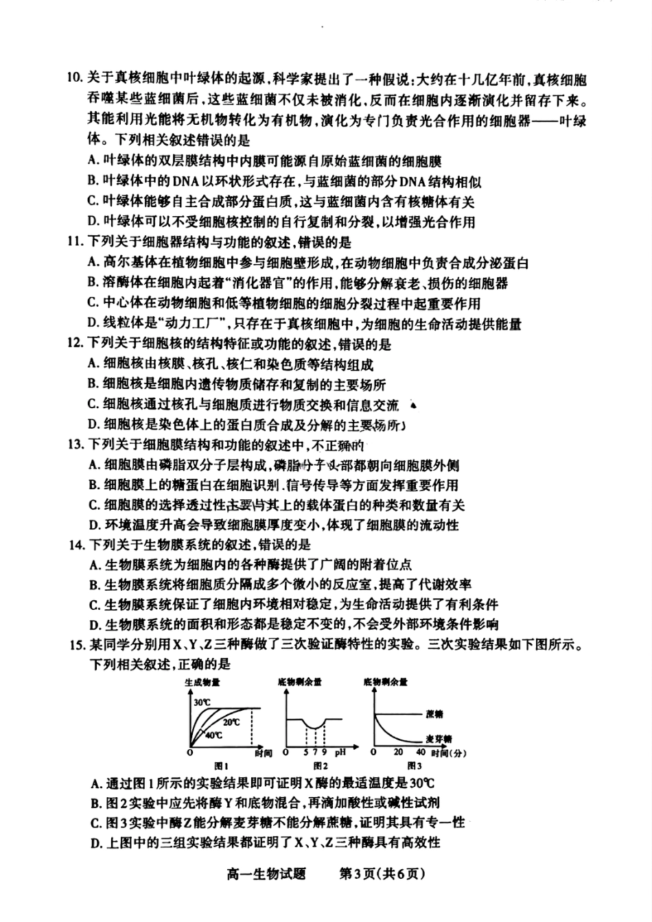 山西省晋城市2024-2025学年高一上学期12月选科调研考试生物试题含答案.pdf_第3页