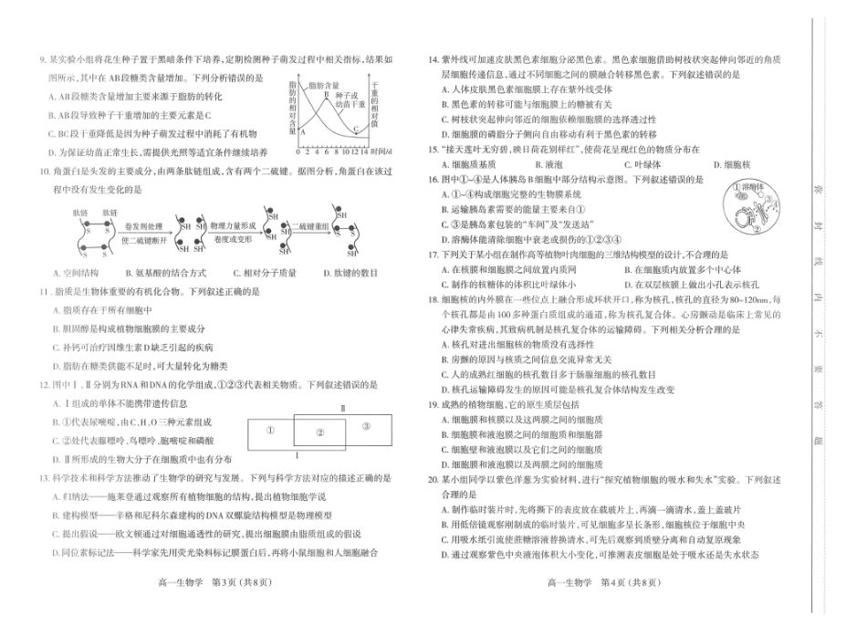 山西省太原市2024-2025学年高一上学期11月期中考试_生物试题.pdf_第2页