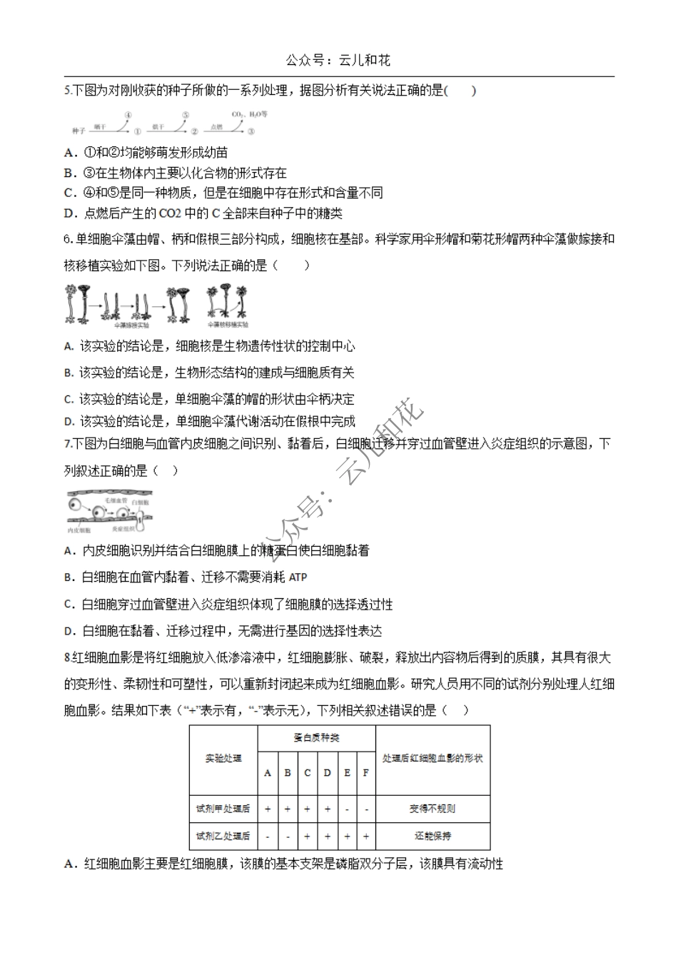 陕西省西安市部分学校2024-2025学年高一上学期12月联考试题 生物 Word版含答案.pdf_第2页