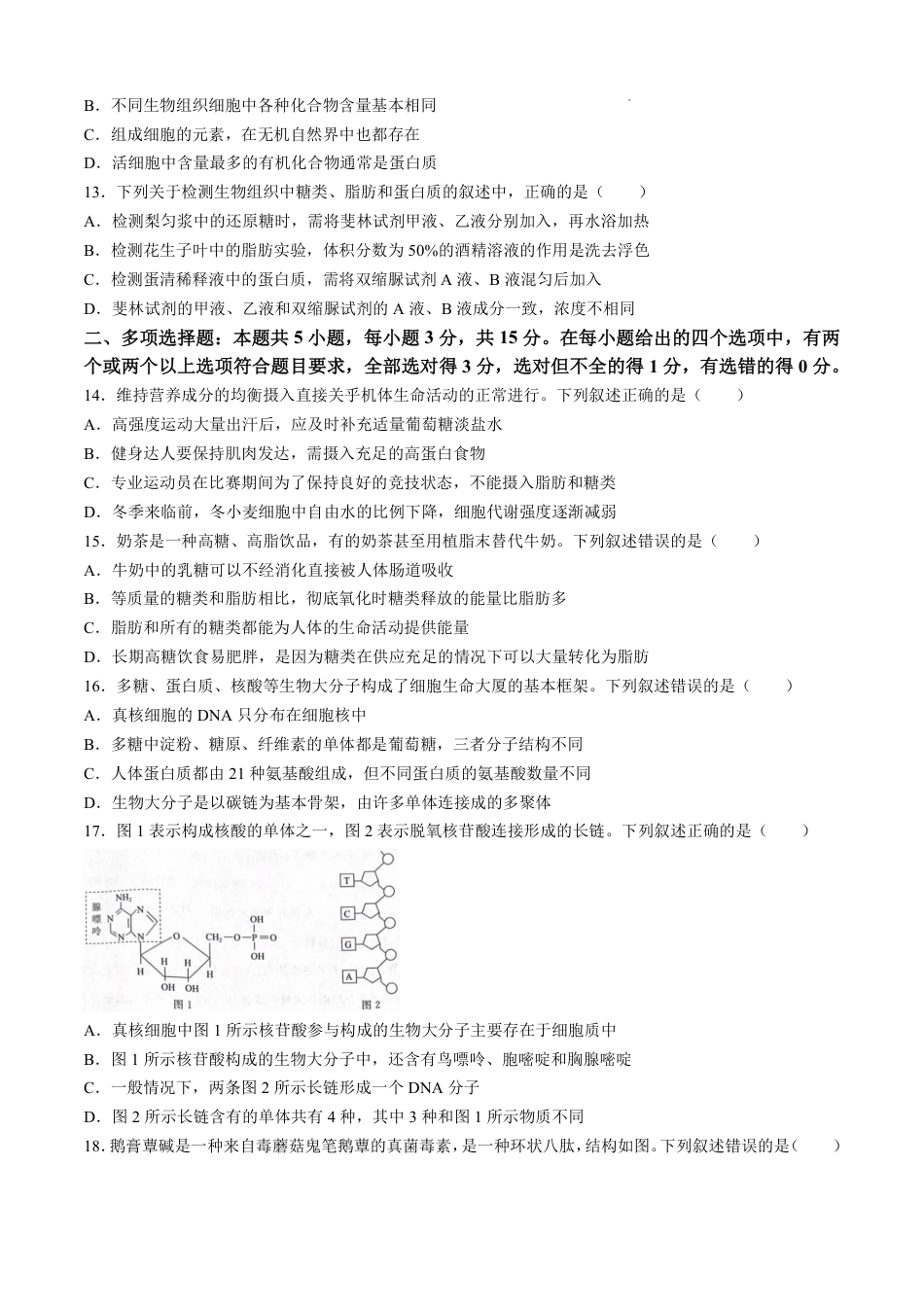 生物-河南青桐鸣2024-2025学年高一上学期10月联考.pdf_第3页