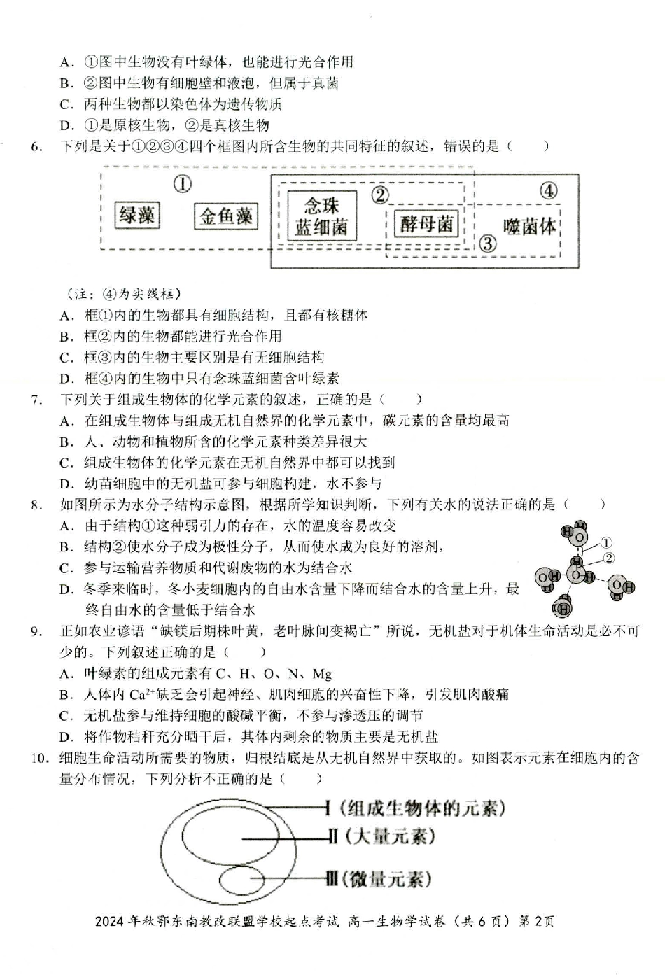 生物-湖北省2024年秋季鄂东南联盟学校高一年级10月起点考试.pdf_第2页
