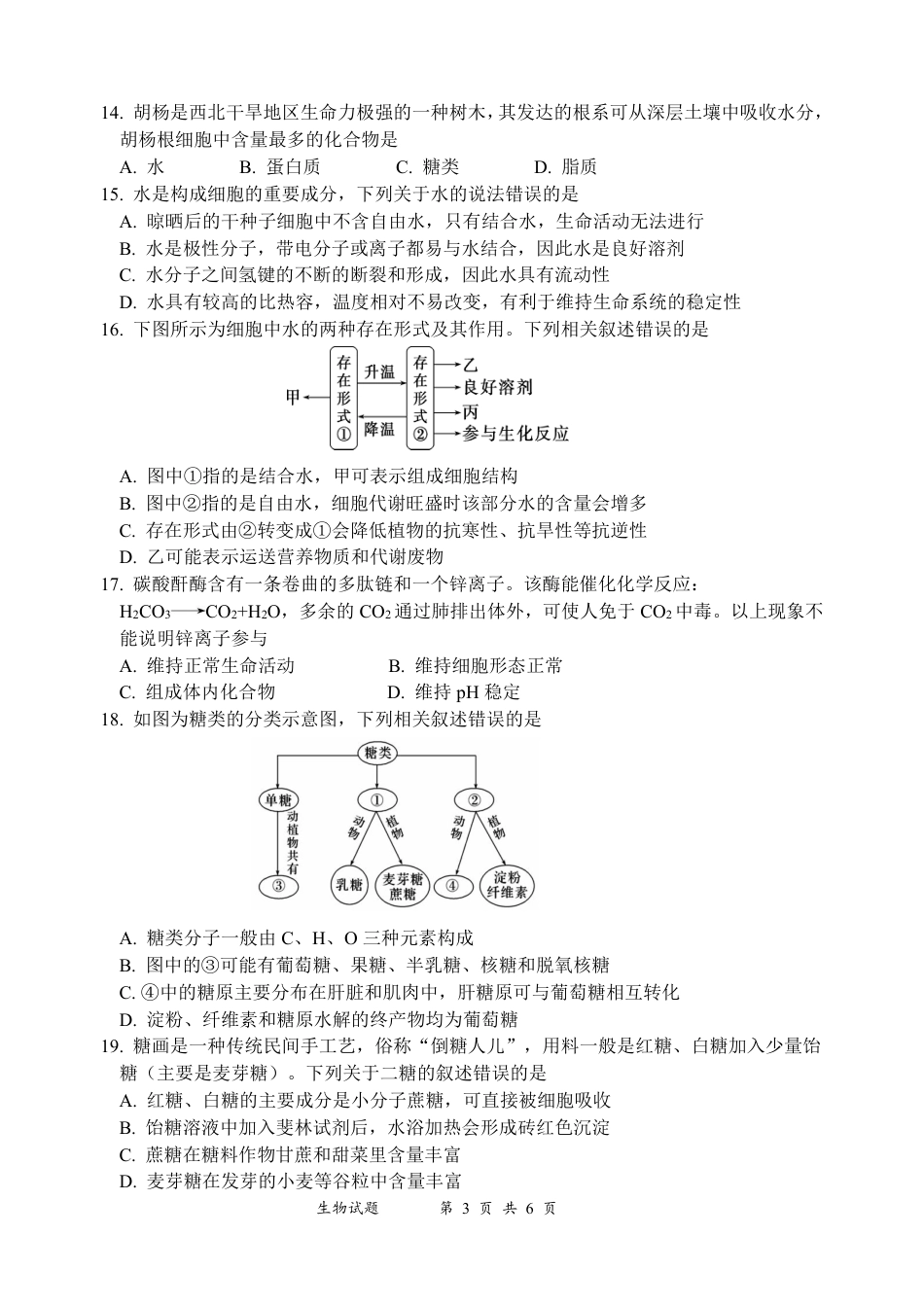 生物-四川省绵阳南山中学高2024级高一上学期10月月考.pdf_第3页