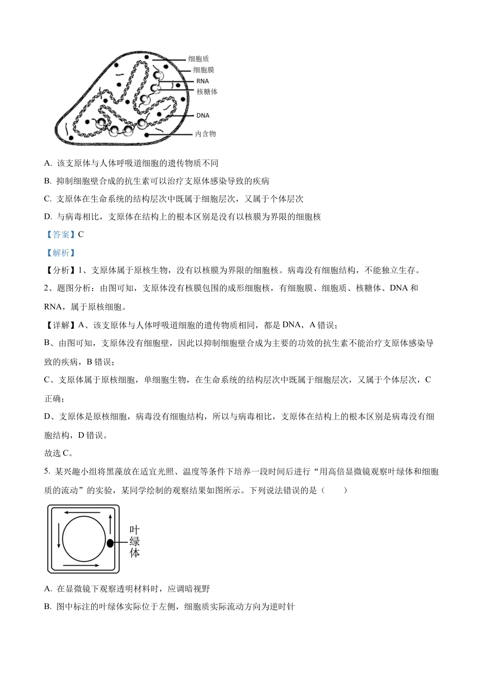 四川省成都市树德中学2024-2025学年高一上学期10月月考生物试题（解析版）.docx_第3页