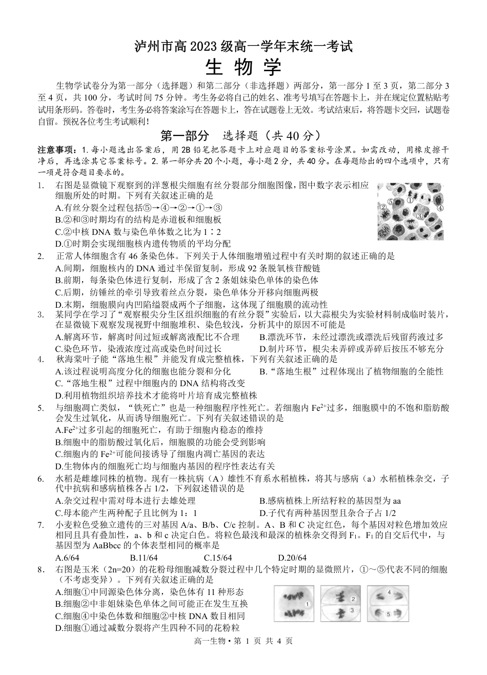 四川省泸州市2023-2024学年高一下学期期末考试_高2023级高一下生物.pdf_第1页