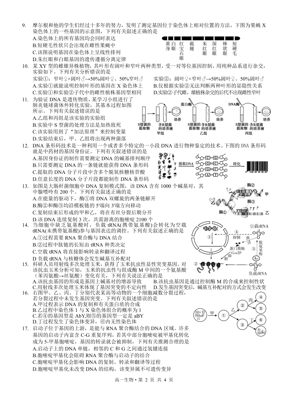 四川省泸州市2023-2024学年高一下学期期末考试_高2023级高一下生物.pdf_第2页