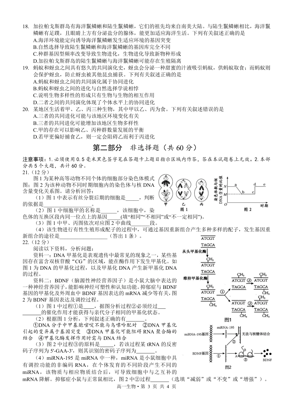 四川省泸州市2023-2024学年高一下学期期末考试_高2023级高一下生物.pdf_第3页