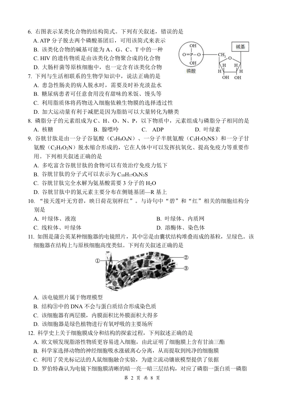 四川省绵阳市南山中学2024-2025学年高一上学期12月月考生物试题 PDF版含答案_生物.pdf_第2页