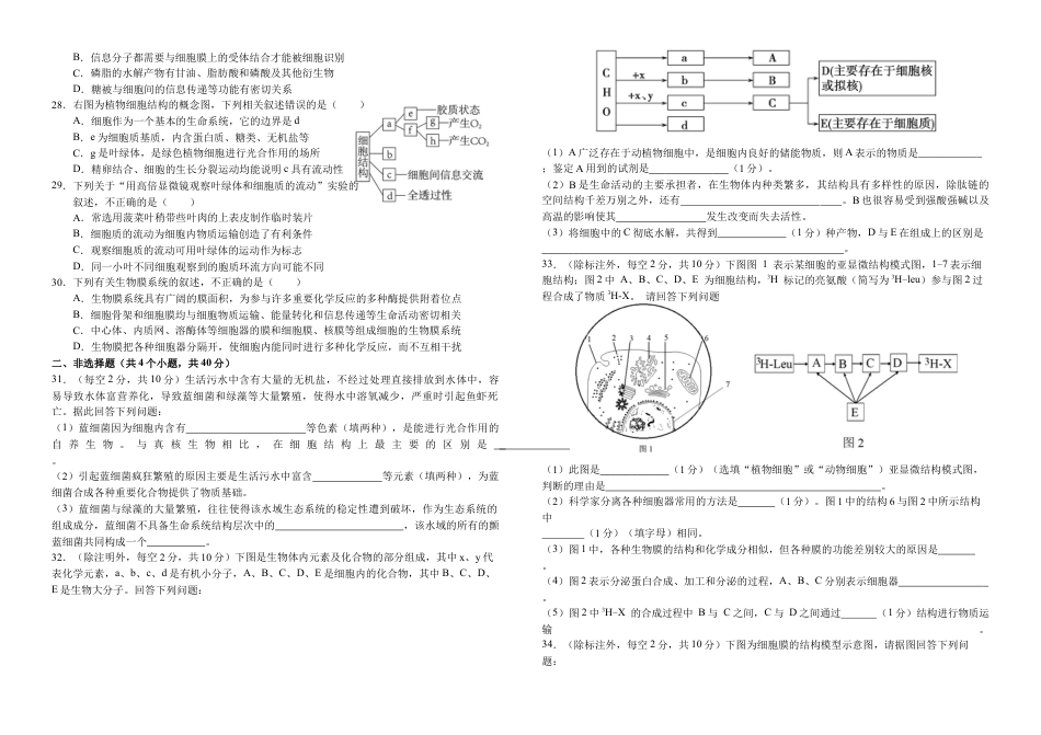 四川省南充高级中学2024-2025高一上学期期中考试生物试题.docx_第3页