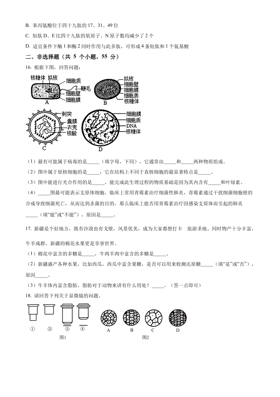 四川省南充市嘉陵第一中学2024-2025学年高一上学期10月月考生物试题 Word版无答案.docx_第3页