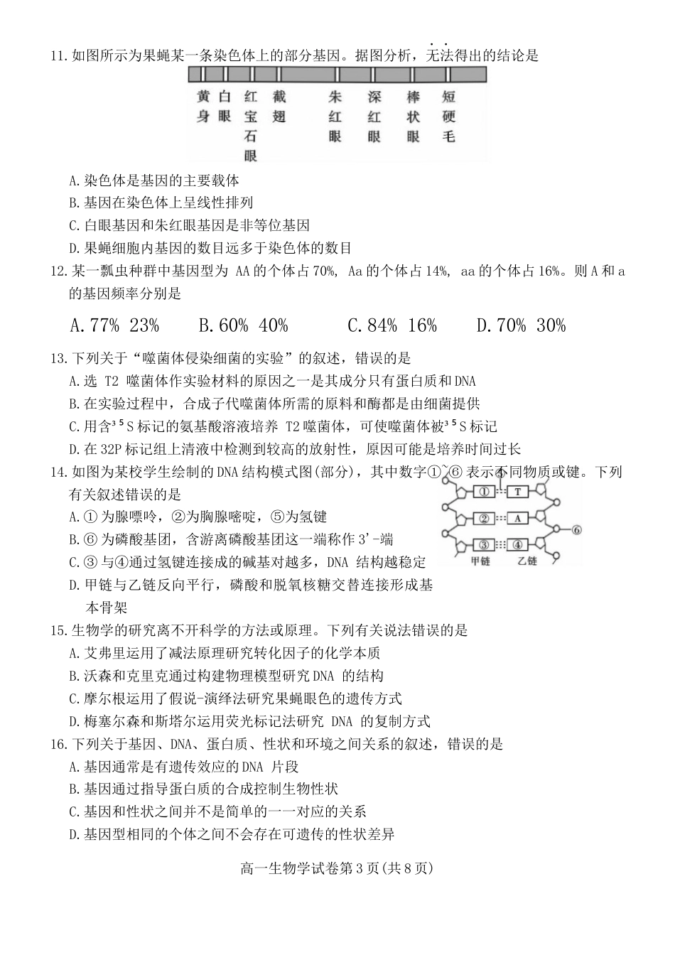 四川省内江市2023-2024学年高一下学期期末考试生物试题.docx_第3页