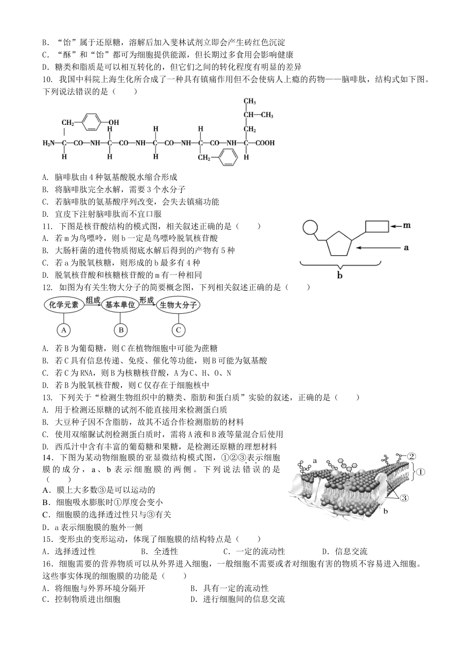 四川省内江市威远中学2024-2025学年高一上学期12月月考生物试题 Word版含答案..docx_第2页