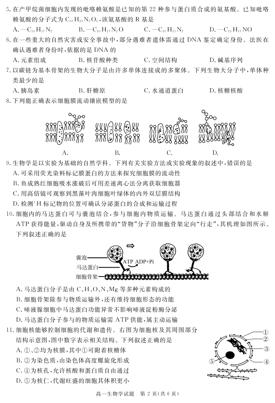 四川省遂宁市2024-2025学年高一上学期期末生物试题 PDF版含解析_SN 2027届地区期末生物.pdf_第2页