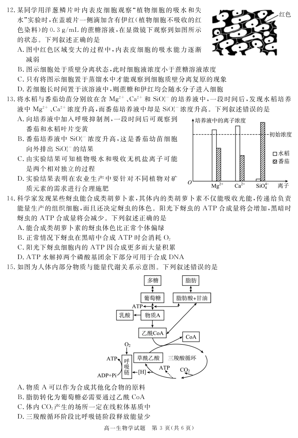 四川省自贡市、遂宁市、广安市等2024-2025学年高一上学期期末考试 生物 PDF版含解析.pdf_第3页