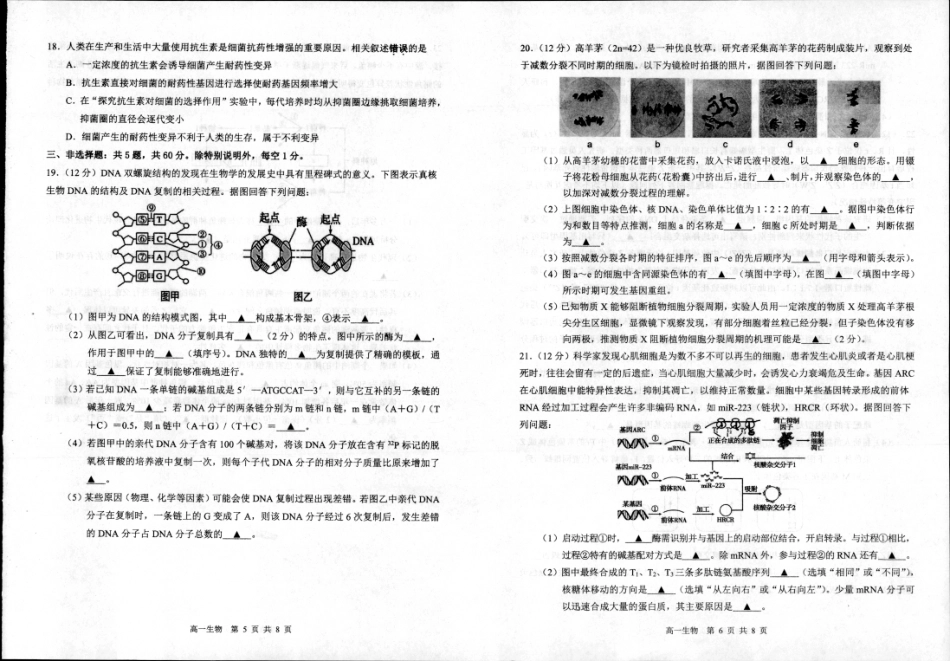 泗阳县2023-2024高一年级下学期生物试题_生物.pdf_第3页