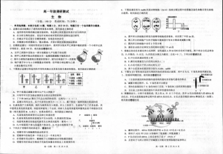 泗阳县2023-2024高一年级下学期生物试题_生物.pdf