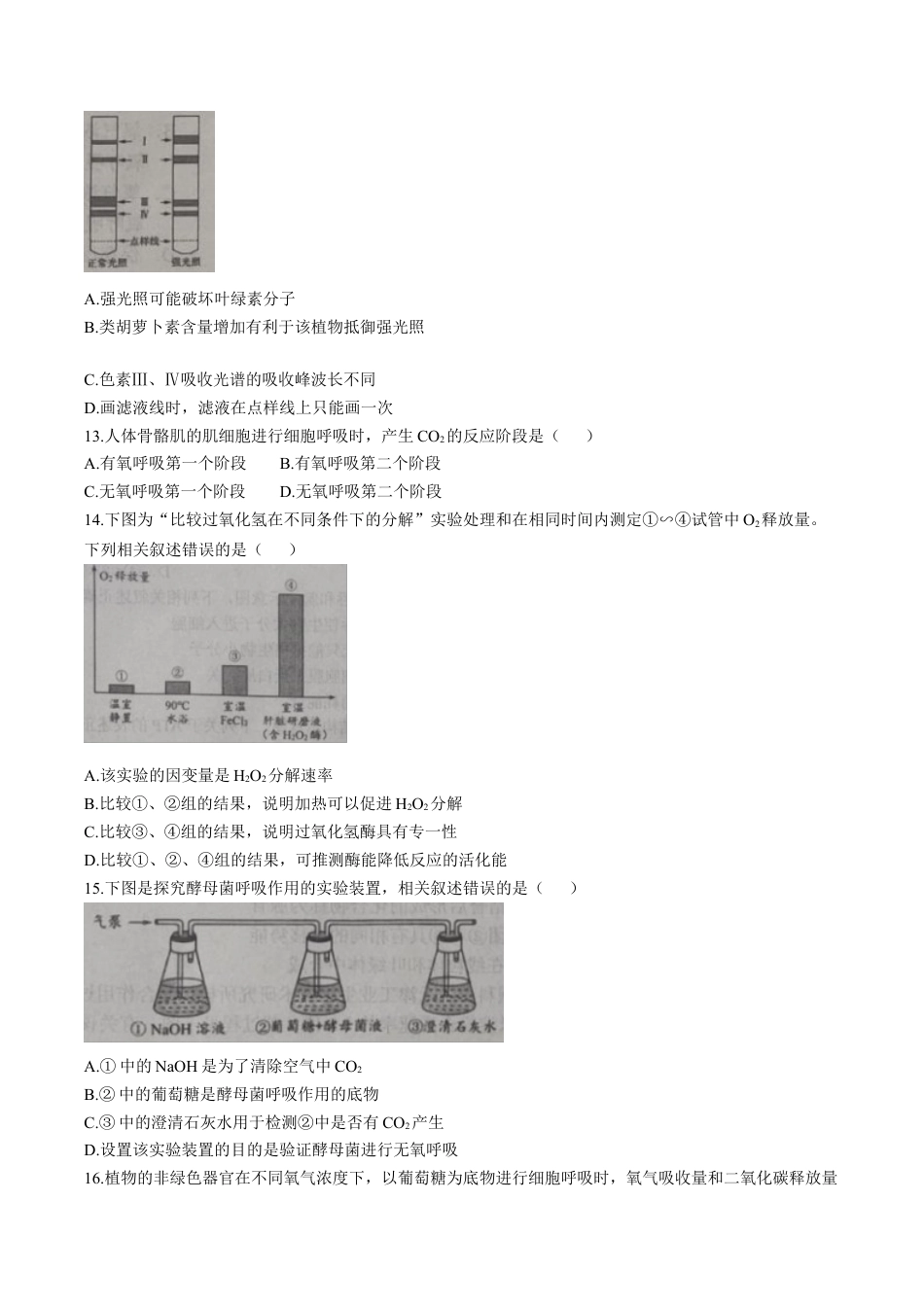 天津市部分区2024-2025学年高一上学期期末练习试题 生物（含答案）.docx_第3页