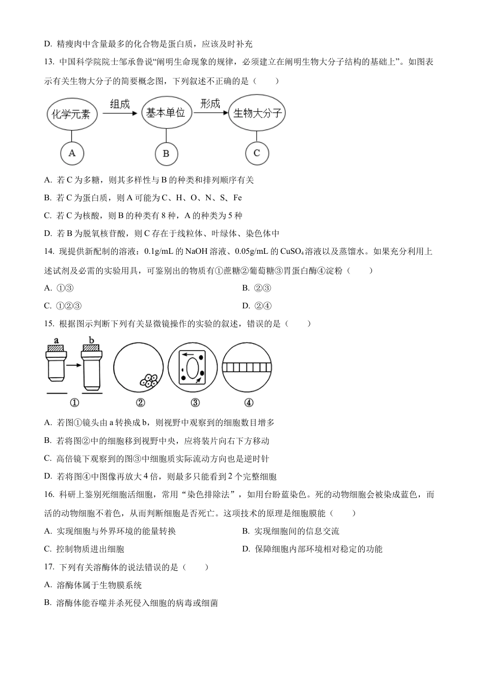 天津市红桥区2024-2025学年高一上学期期中考试生物试卷  Word版无答案.docx_第3页