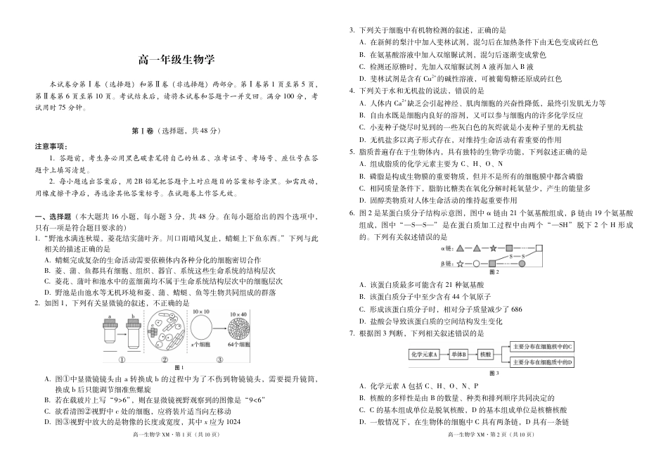 云南省西双版纳傣族自治州部分高中2024-2025学年高一上学期12月月考生物试题.pdf_第1页