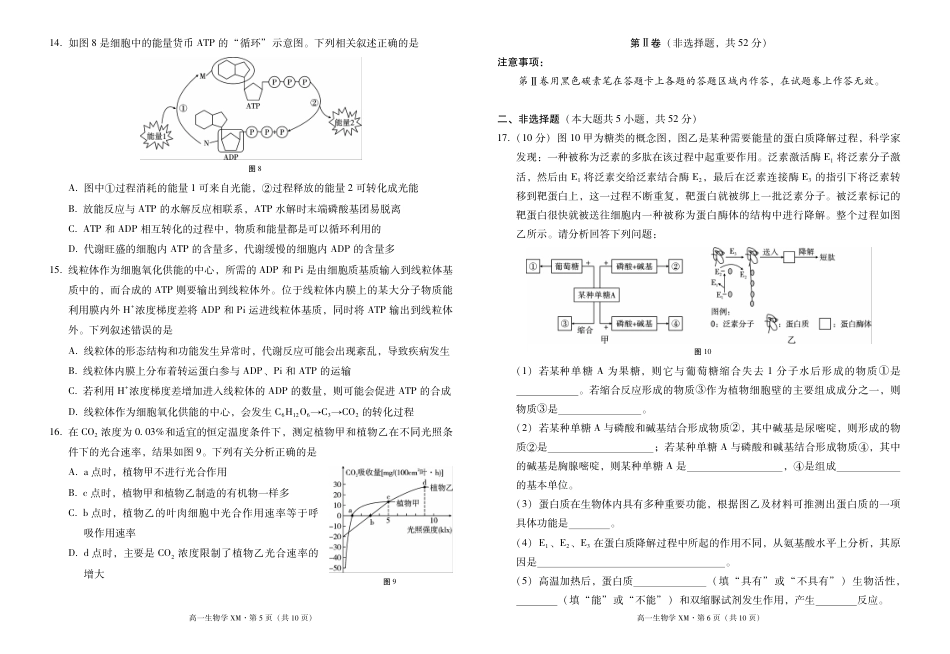 云南省西双版纳傣族自治州部分高中2024-2025学年高一上学期12月月考生物试题.pdf_第3页