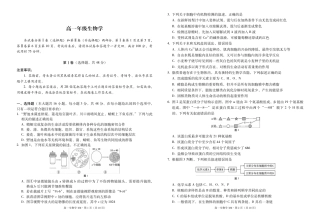 云南省西双版纳傣族自治州部分高中2024-2025学年高一上学期12月月考生物试题.pdf