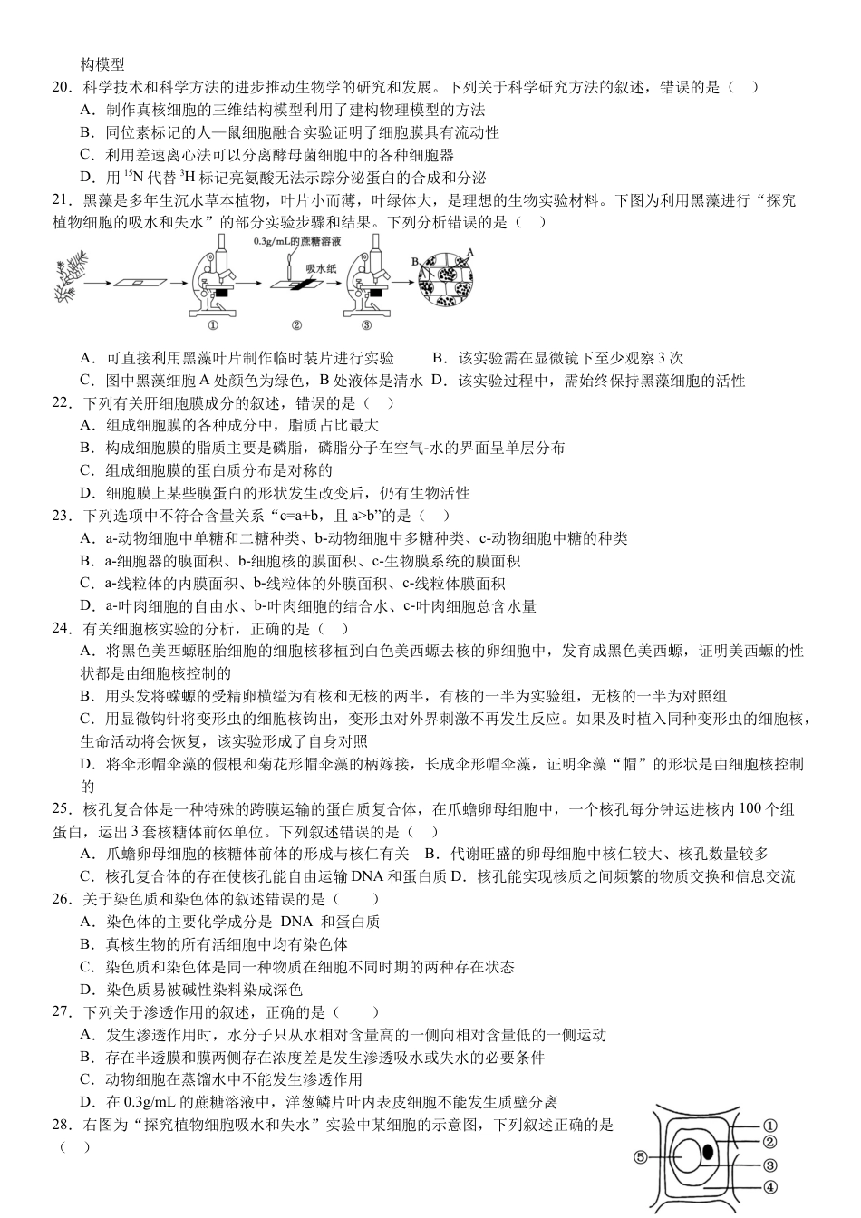 云南省玉溪市一中2024-2025学年高一上学期第二次月考生物试题 Word版含答案_第二次月考生物试卷 .docx_第3页