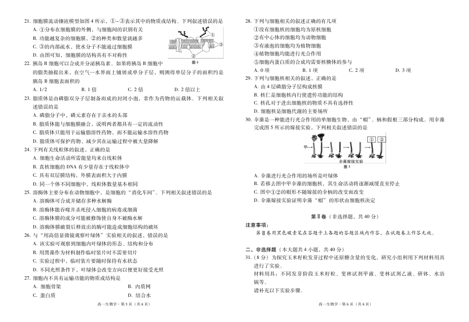 云南师范大学附属中学2024-2025学年高一上学期期中考试 生物 PDF版含解析（可编辑）.pdf_第3页