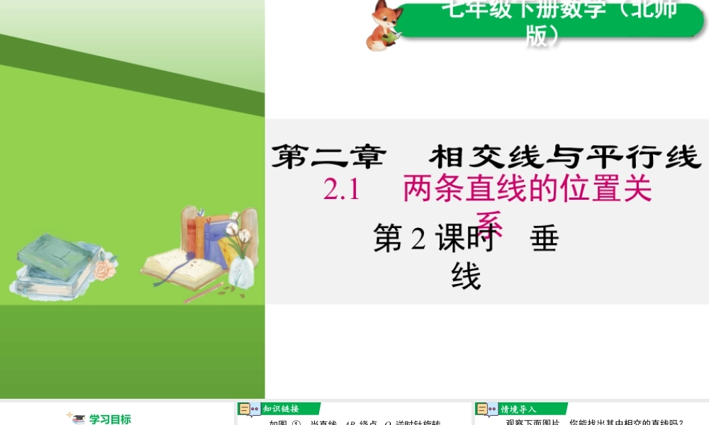 北师大（2025）数学七年级下-2.1 第2课时 垂线.pptx