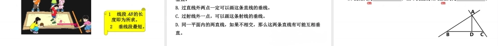 北师大（2025）数学七年级下-2.1.1两条直线的位置关系（2）   课件.pptx